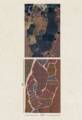 Ringa Rug